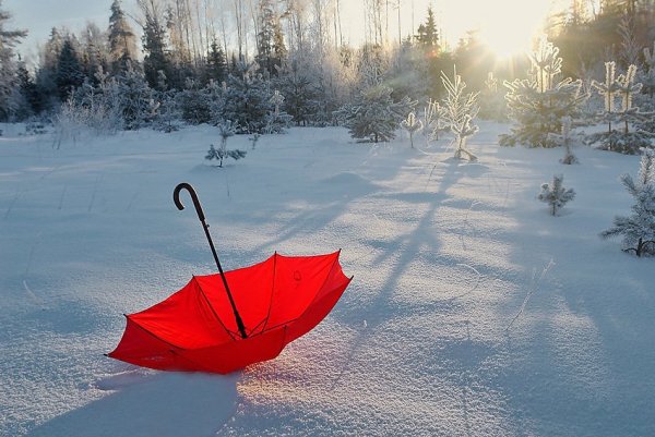 Снег и зонт