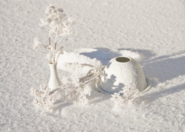 Снежный натюрморт