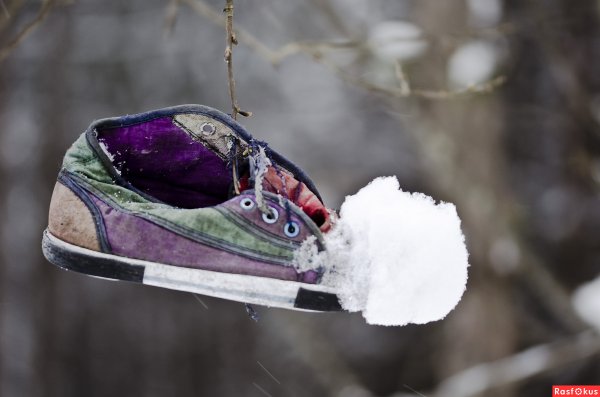 Предметы зимы