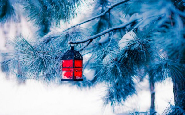 Зимняя тематика