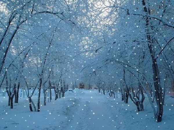 Зима падает снег