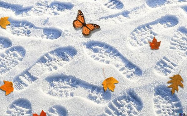 Рисуем на снегу