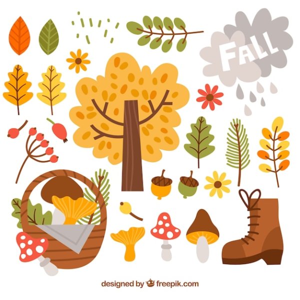 Осенние векторные элементы
