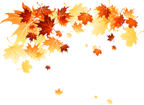 Клипарт осенние листья на прозрачном фоне