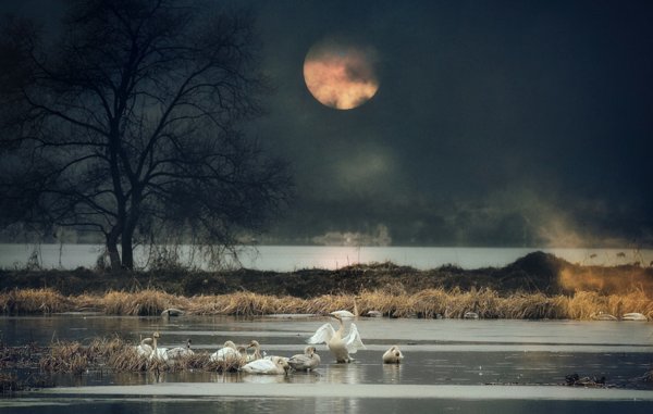 Пейзаж с луной