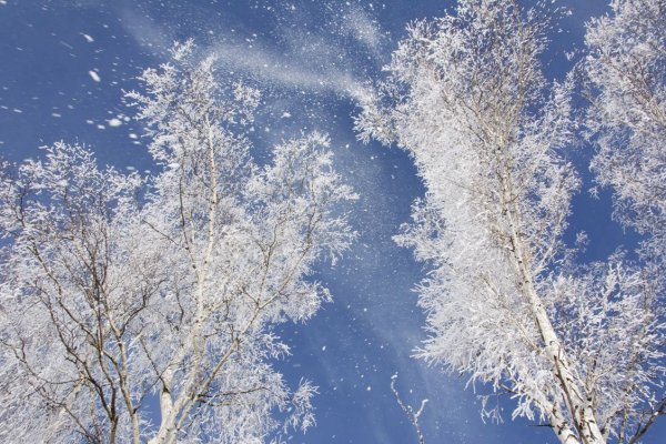 Легкий снег