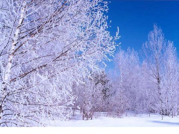 Снежок кружится