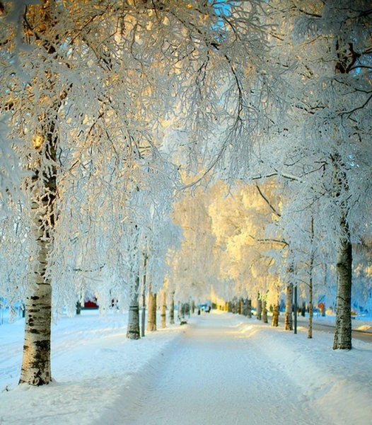 Зимний парк