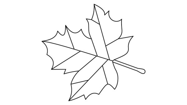 Лист клена