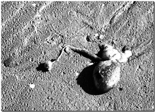 Секретные снимки Луны НАСА