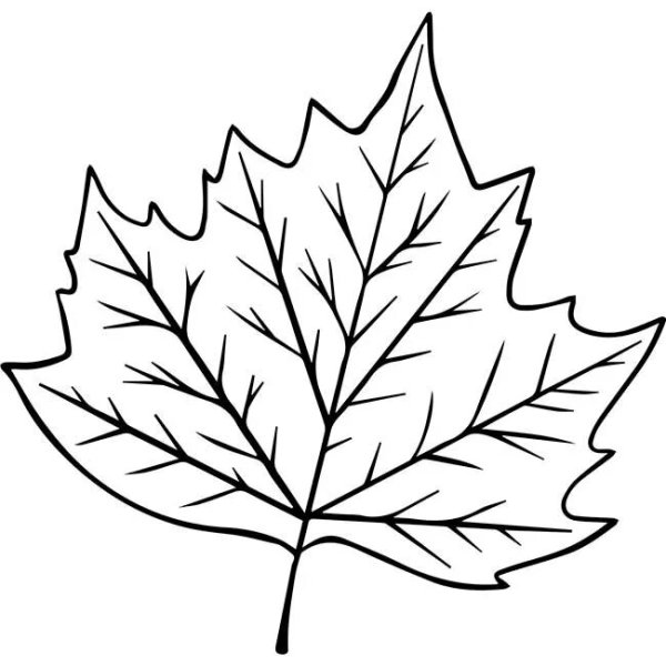 Осенние листья шаблон