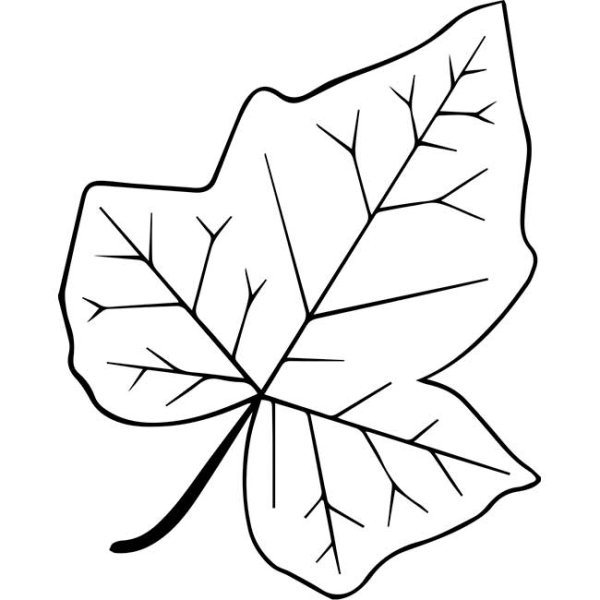 Осенний листок трафарет