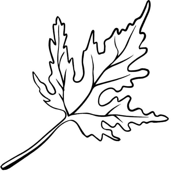 Осенние листья трафареты для вырезания каштан