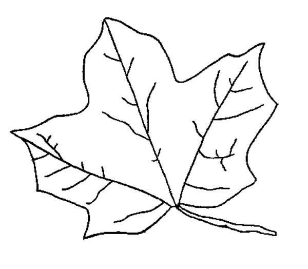 Листочки раскраска
