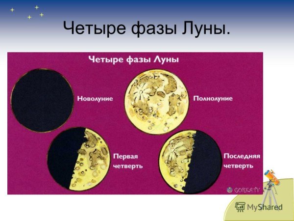 Четыре фазы Луны