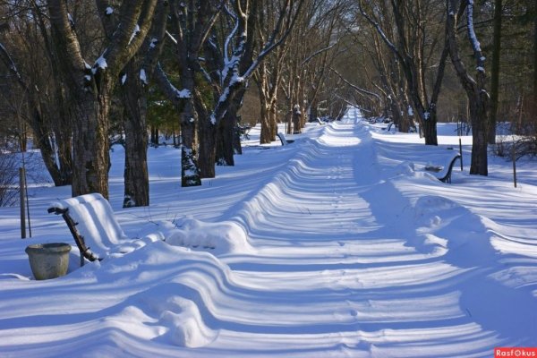 Сквер Фестивальный Красноярск