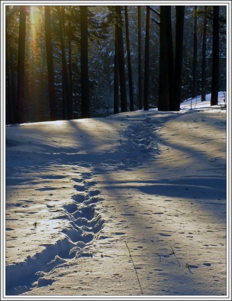 Заснеженная тропа Геншин
