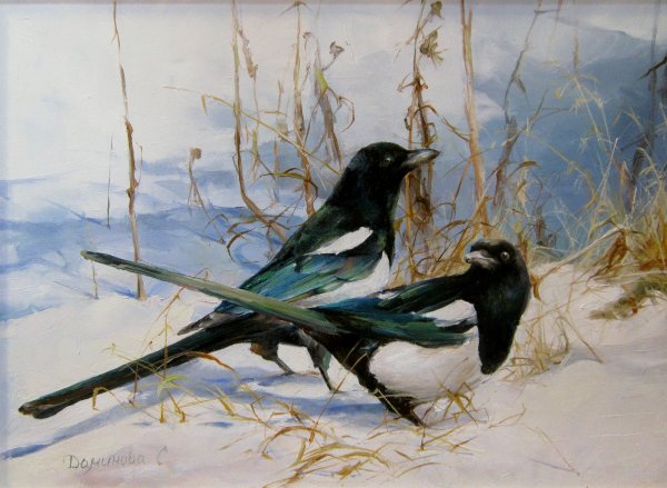 Стелла Даминова. Сороки.