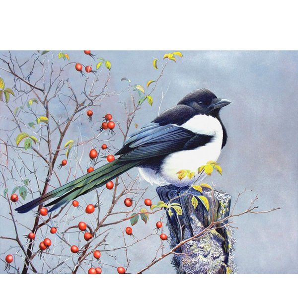 Пейзажи с сороками