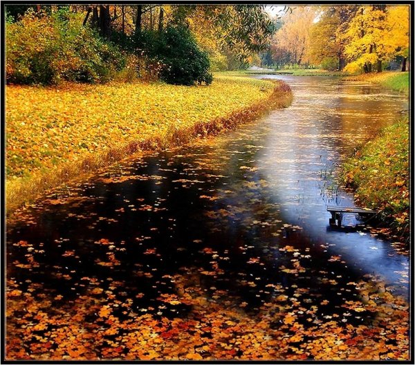 Картинки дождь осенью