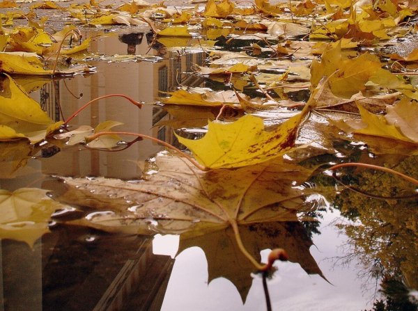 Хрустальная осень