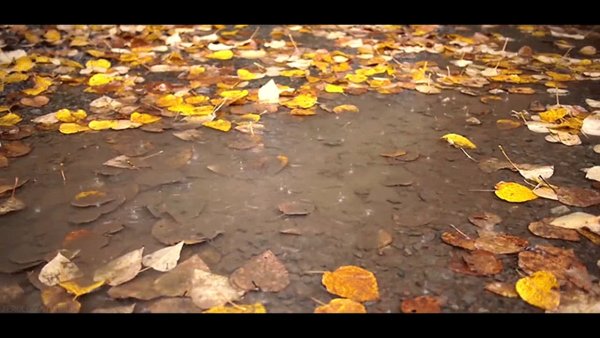 Анимация осень дождь падают листья