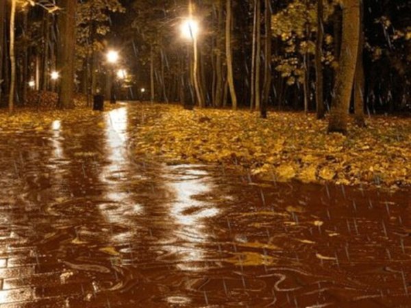 Осенний ливень
