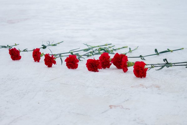 Акция цветы на снегу