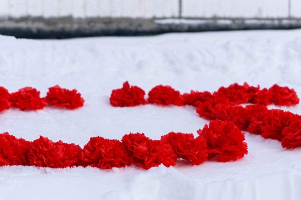 Гвоздики на снегу