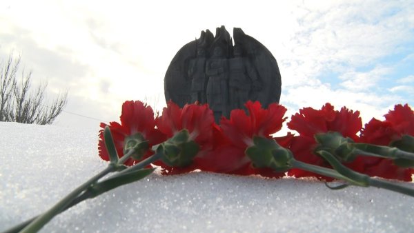 Сталинградская битва гвоздики на снегу