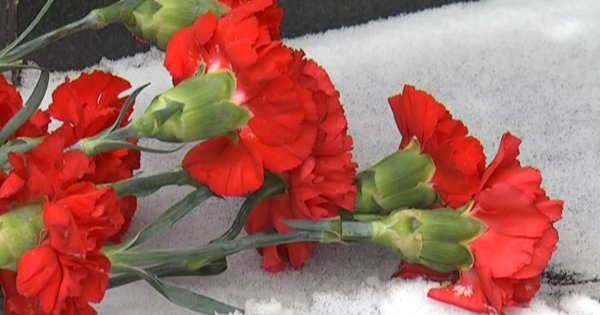 Гвоздика славы