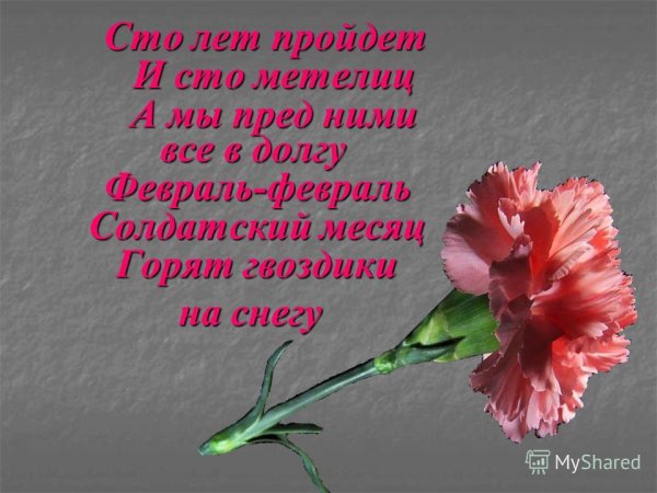 Стихотворение про гвоздику