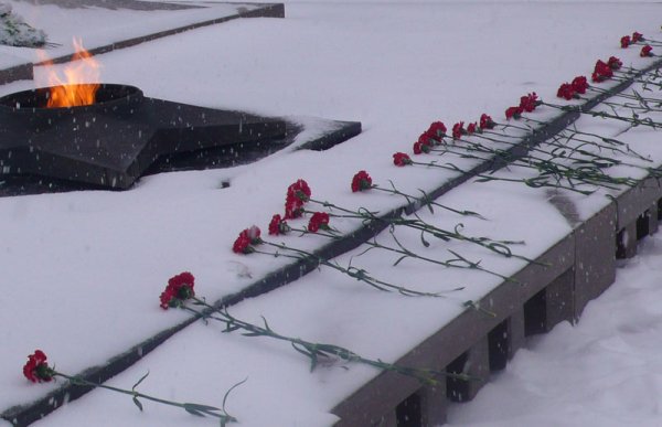 Гвоздики на снегу