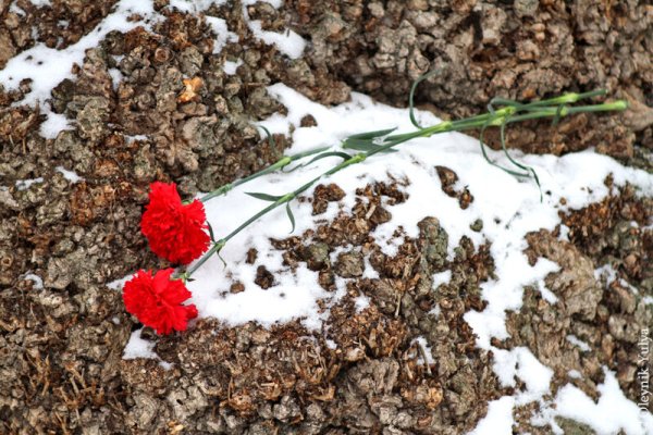 Мамаев Курган гвоздики