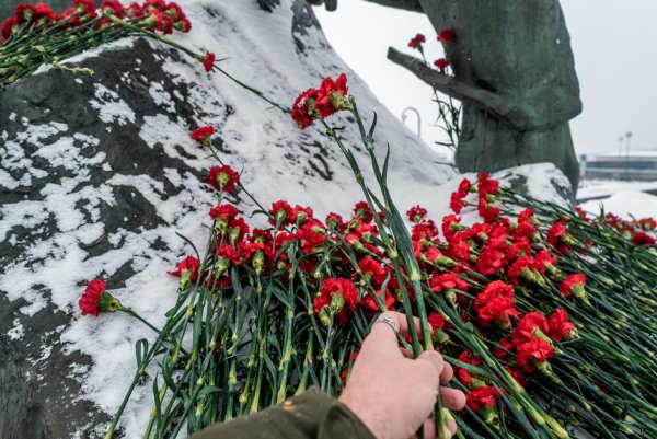 Мамаев Курган вечный огонь февраль гвоздики