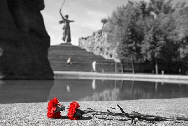 Мамаев Курган гвоздики на снегу