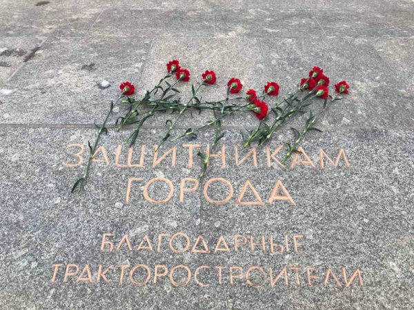 Акция гвоздика на снегу