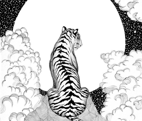 Тигр на фоне Луны