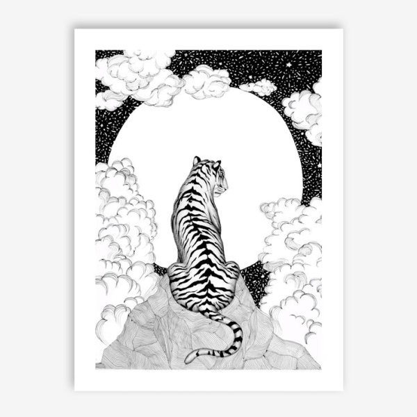 Тигр на Луне трафарет