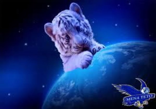 Тигр и Луна фото