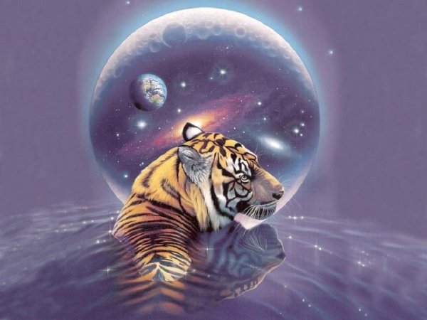 Тигр на Луне