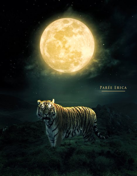 Тигровая Луна