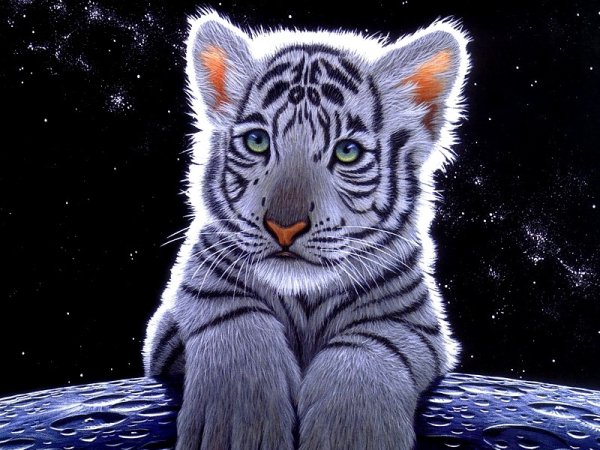 Новогодний белый тигр