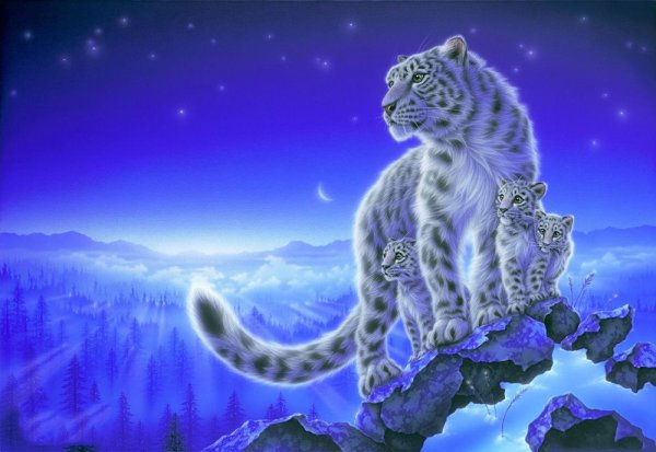 Художник Кентаро Нишино картина снежные Барсы