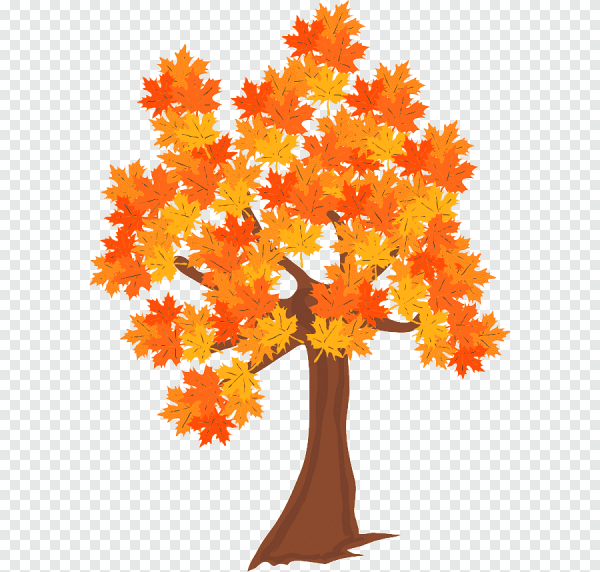 Осеннее дерево