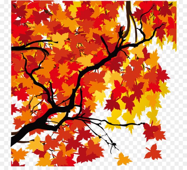 Осенний клен рисунок