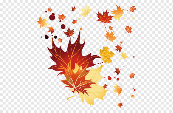 Кленовый лист вектор