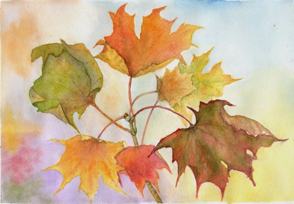 Рисование с натуры осенних листьев.