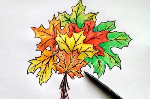 Кленовый лист цветными карандашами