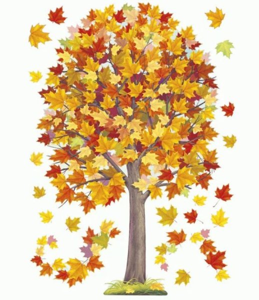 Осеннее дерево